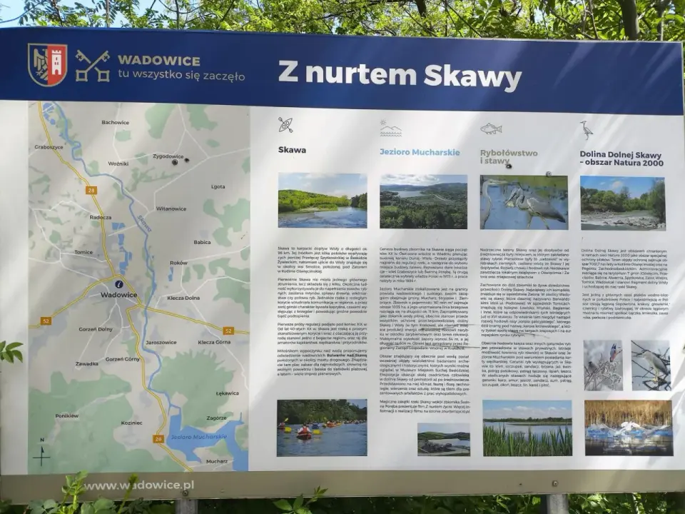Wadowice nad Skawą - Odkryj miasto inaczej!