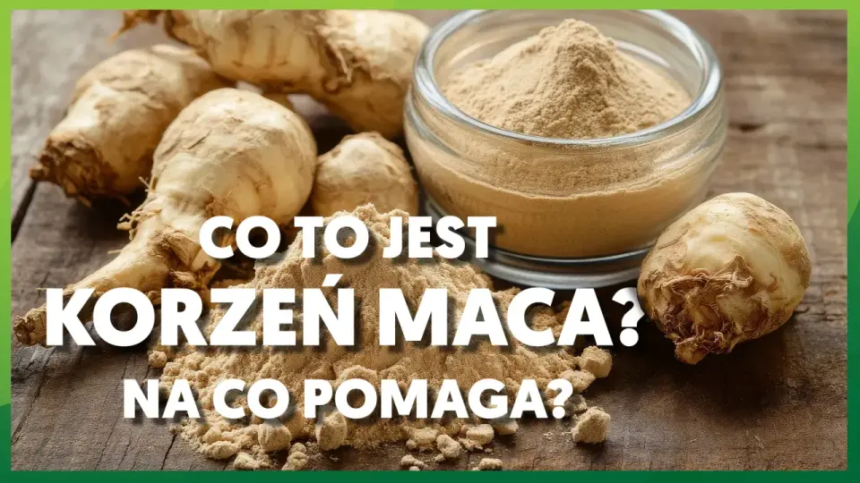 Maca na co naprawdę pomaga i kiedy warto ją stosować