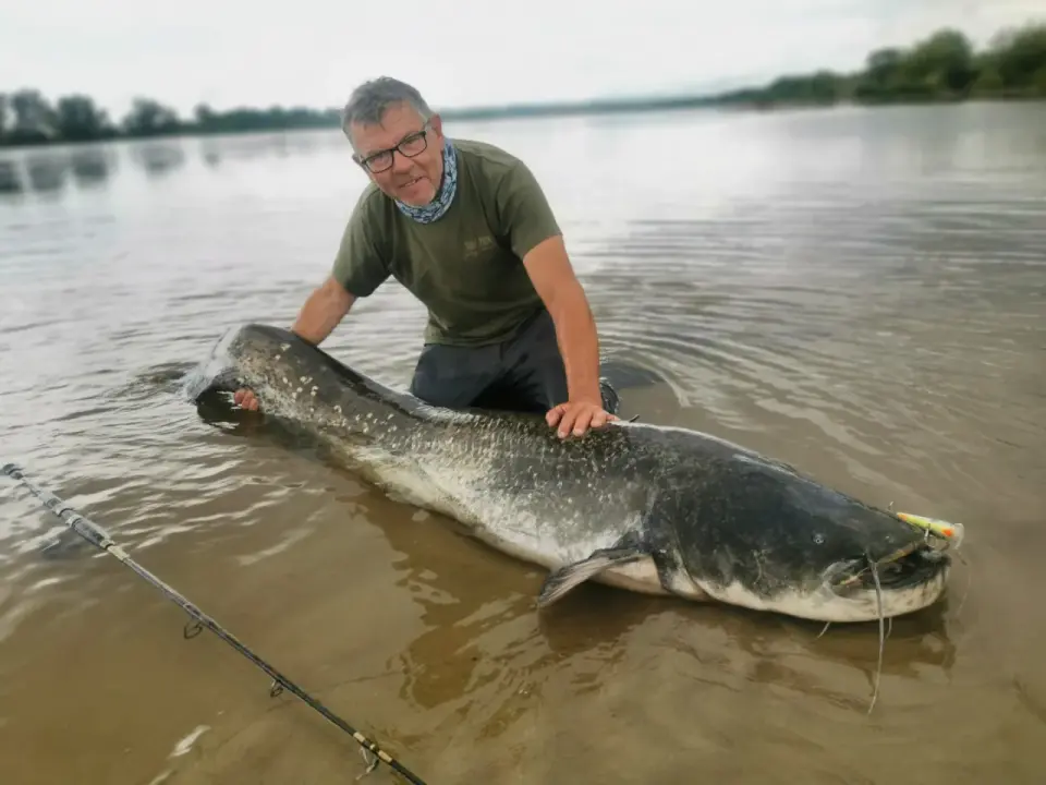 Jak łowić suma w Polsce - spinning, grunt, trolling i kwok