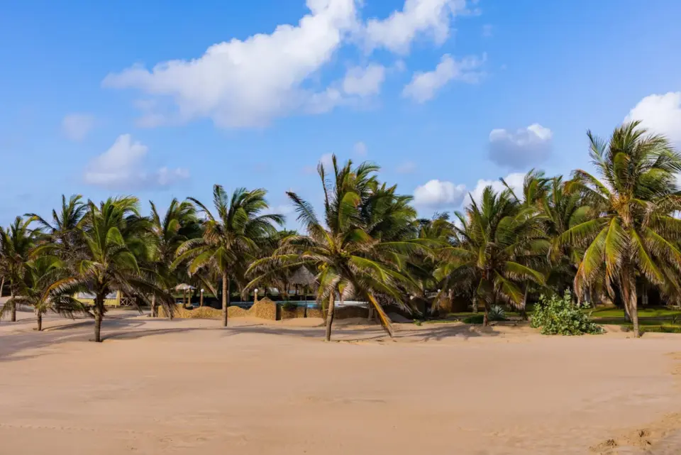 Plaże Kenii - Którą wybrać? Diani, Watamu, Lamu i inne!