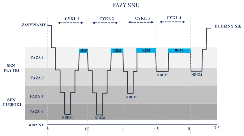 Fazy snu - NREM i REM. Jak spać, by się wyspać?