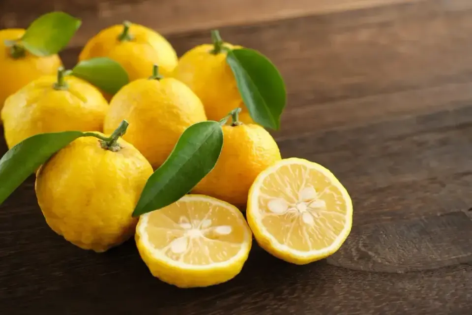 Yuzu - co to jest i jak wybrać dobry produkt?