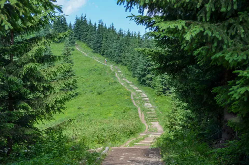 Gęsia Szyja - Szlak, czas przejścia i panorama. Jak wejść na szczyt?