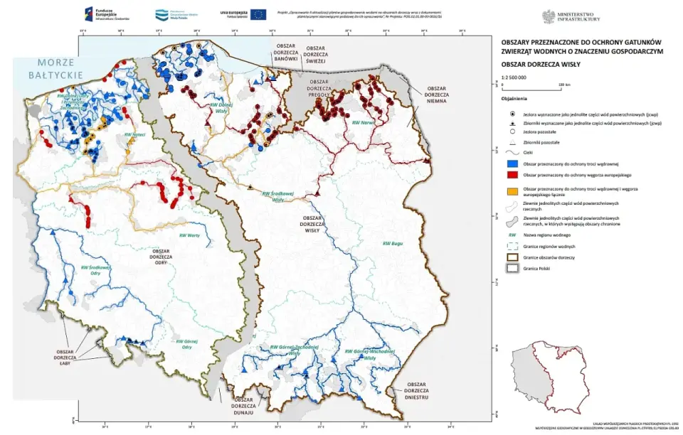 Reserve po polsku: Znaczenia, przykłady i pułapki tłumaczeniowe