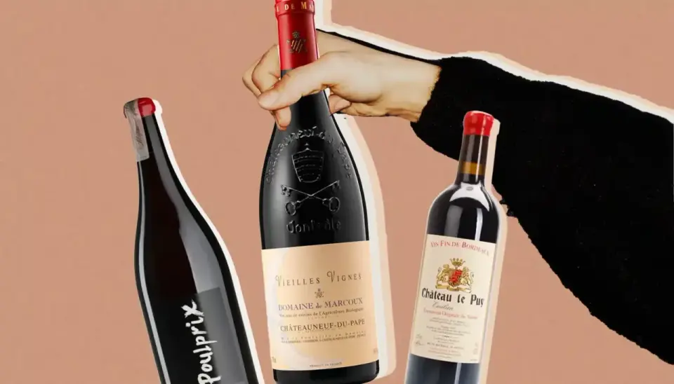 Le meilleur vin français - comment choisir la bonne bouteille