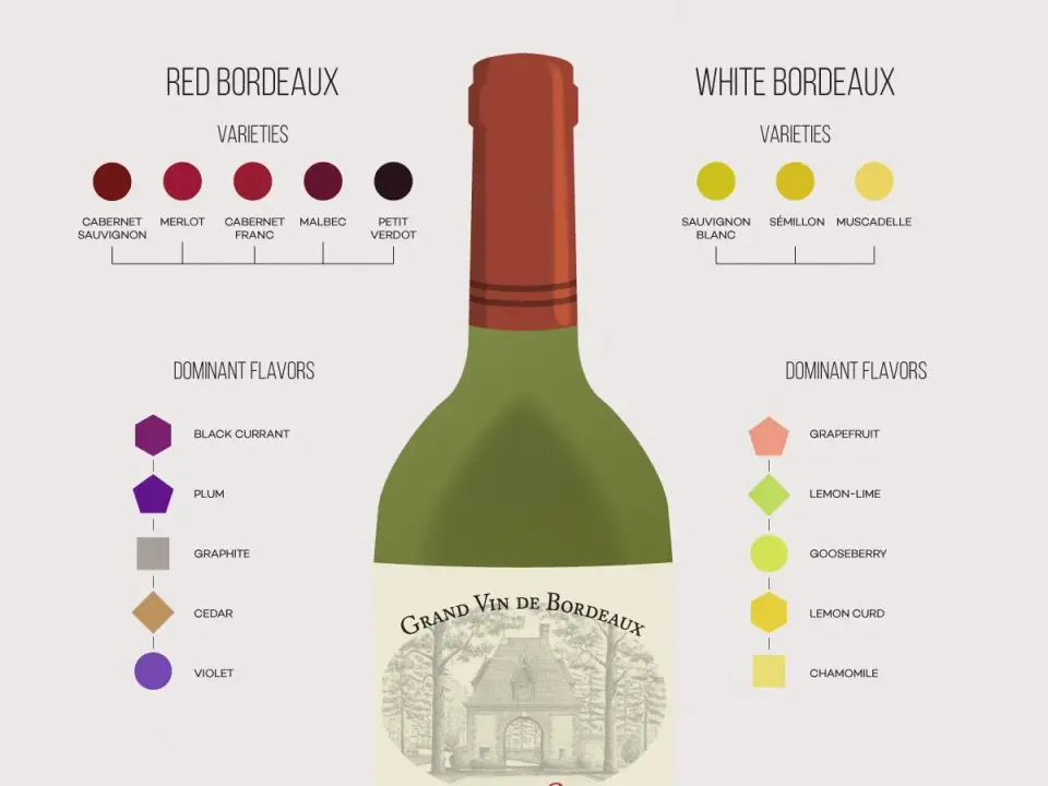 Wina Bordeaux - Rozszyfruj etykiety i smaki