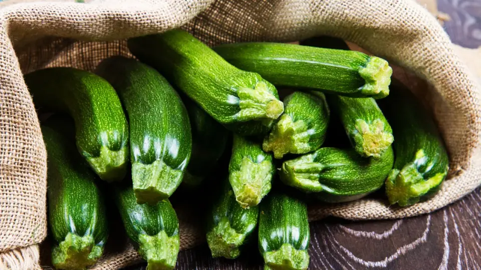 Zucchini gesund? Das zählt bei Zubereitung und Verträglichkeit
