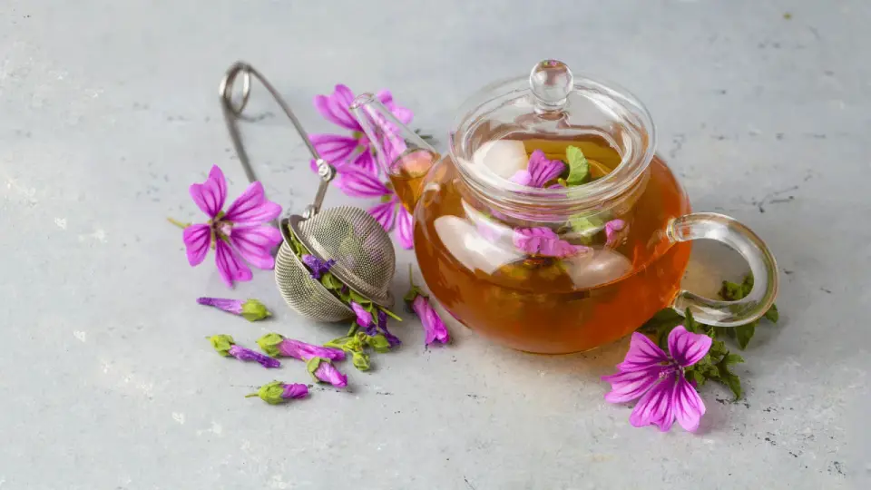 Malva, effetti collaterali e precauzioni da conoscere