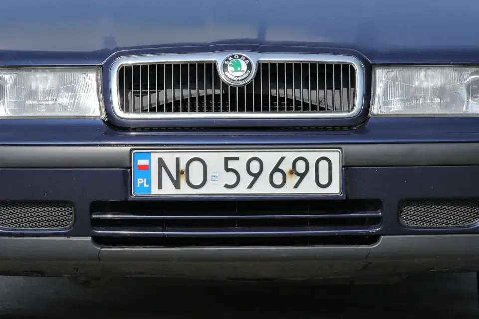 LSW na tablicy rejestracyjnej - co oznacza ten kod?
