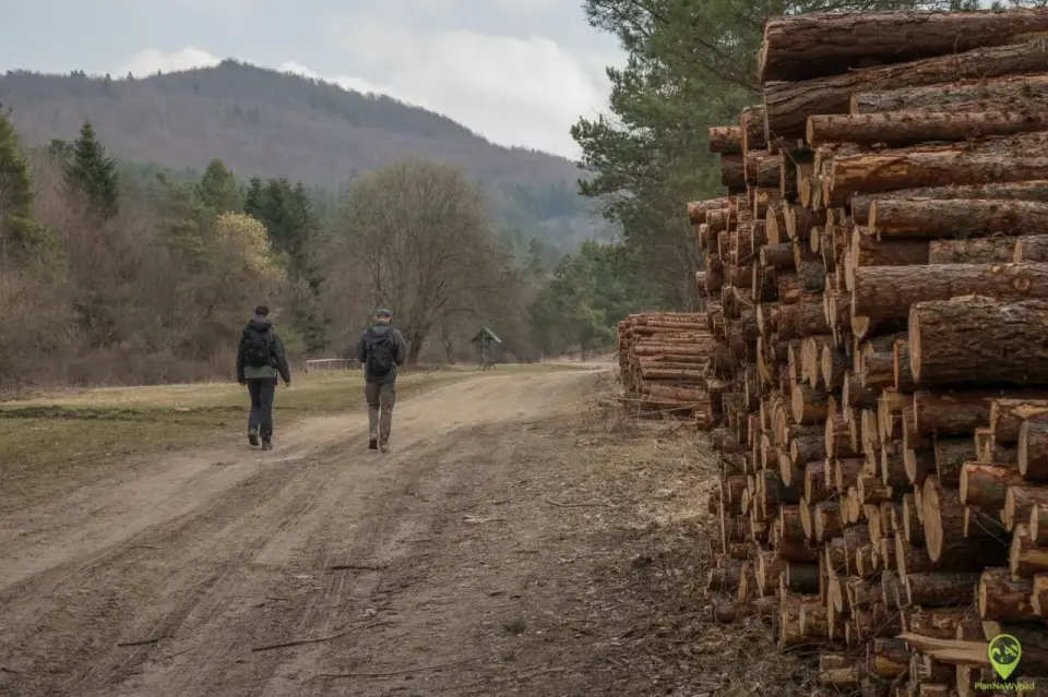 Lackowa – jak wejść? Trasy, Ściana Płaczu i porady