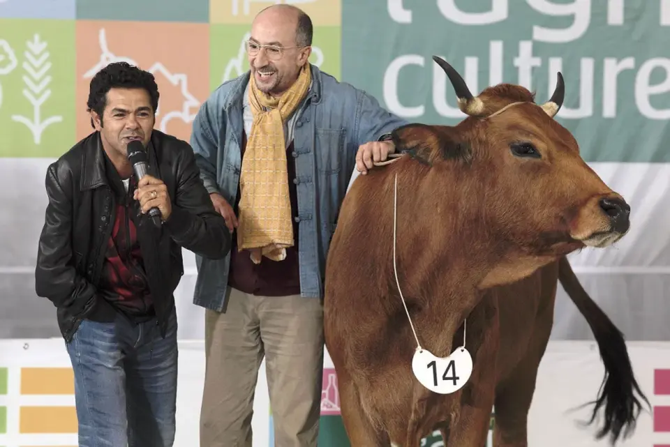 Krowa po francusku: "la vache" wymowa, przykłady i ciekawostki