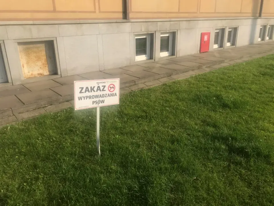 Zakaz wyprowadzania psów we wspólnocie - co naprawdę wolno?