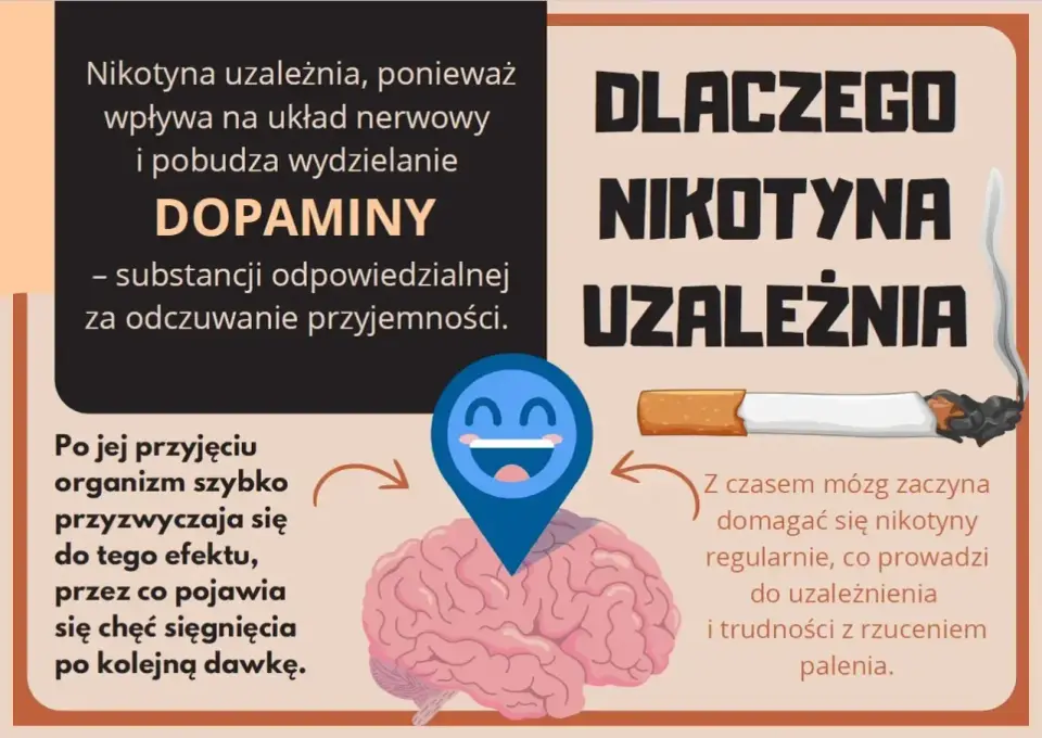 Nikotyna - fakty, uzależnienie i pomoc. Czy wiesz wszystko?