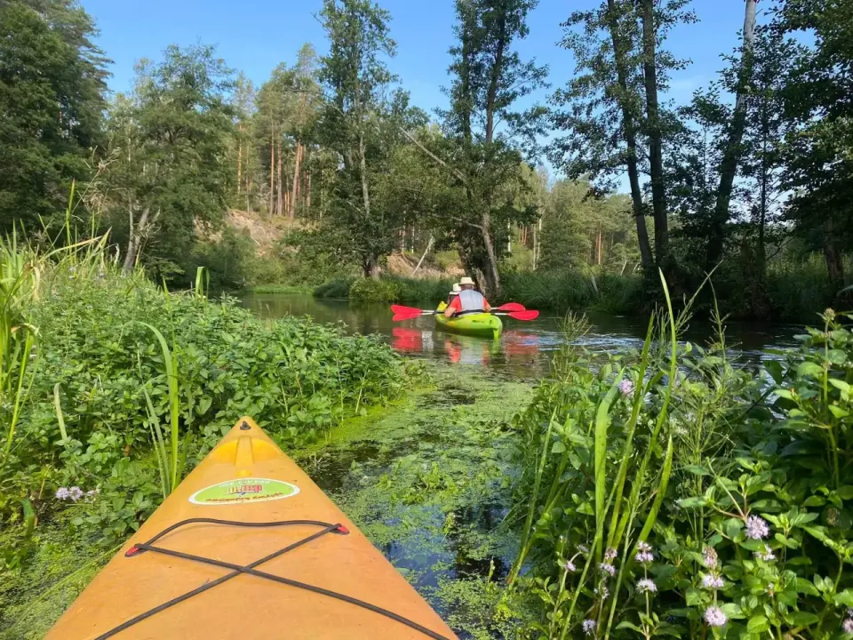 Tleń - Kajaki, jezioro i Bory Tucholskie. Plan na spokojny weekend
