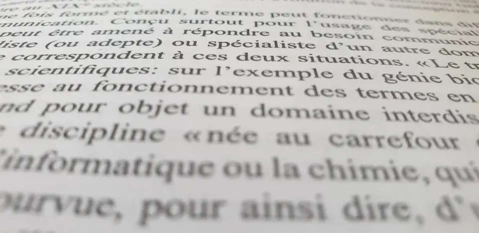 Jak jest "język" po francusku? La langue vs Le langage