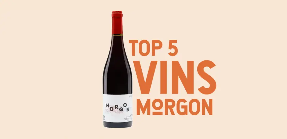 Morgon vin de garde - comment choisir la bonne bouteille