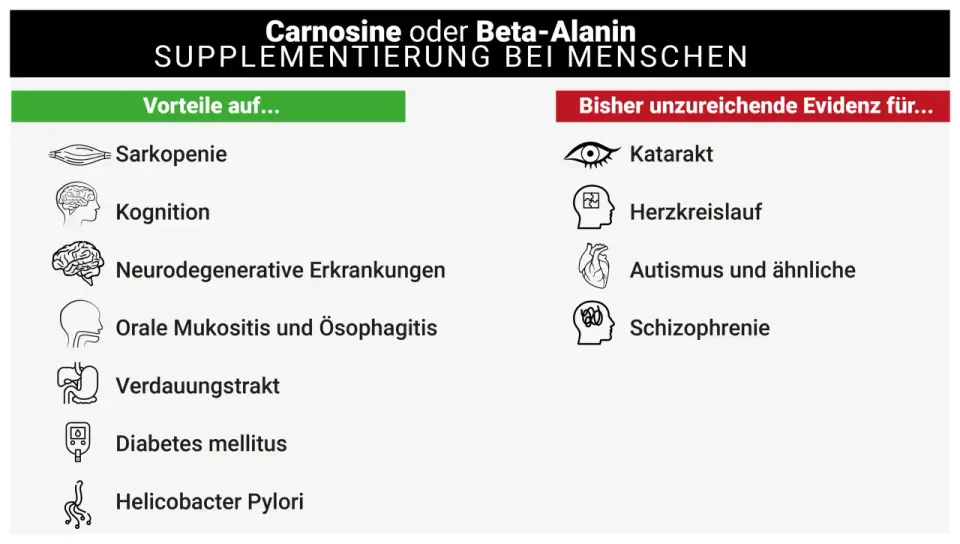 Beta-Alanin sinnvoll einsetzen - Wirkung, Dosierung und Risiken