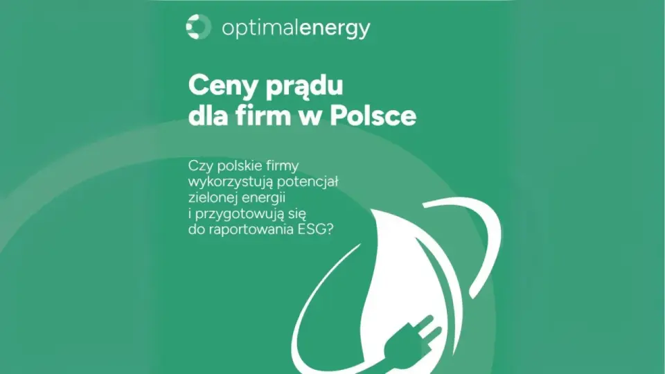 Sprzedawcy energii w Polsce - jak wybrać ofertę i nie przepłacić