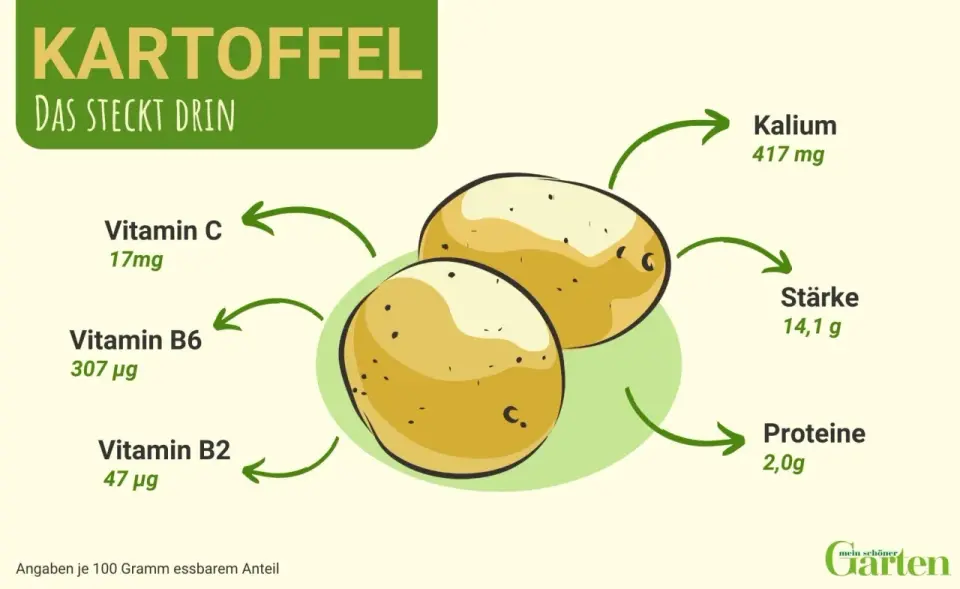 Kartoffel-Nährwerte - was in der Knolle steckt