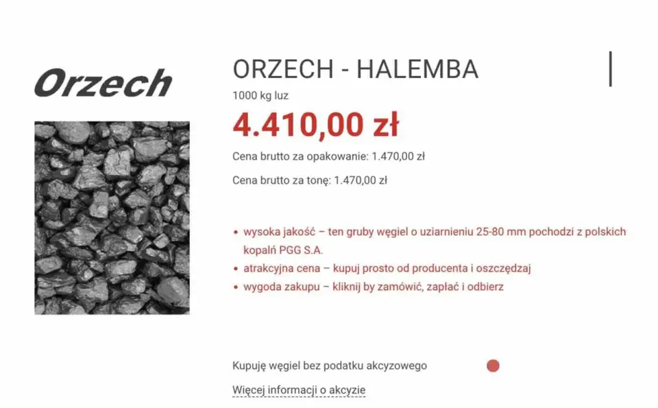 Który ekogroszek PGG wybrać? Poradnik i porównanie