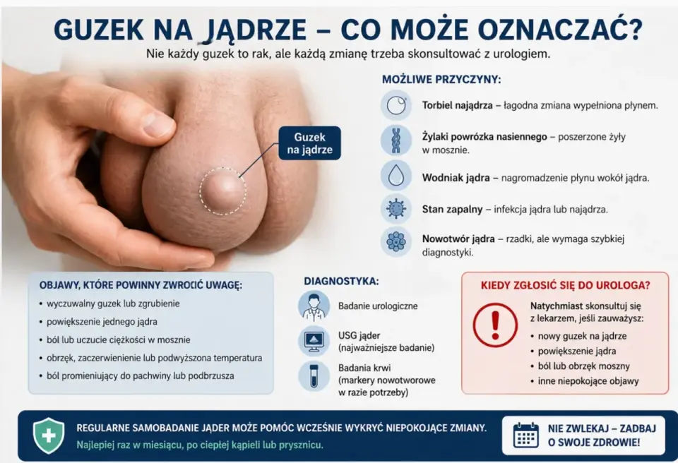 Rak jądra - czy bezbolesny guzek to alarm? Sprawdź!