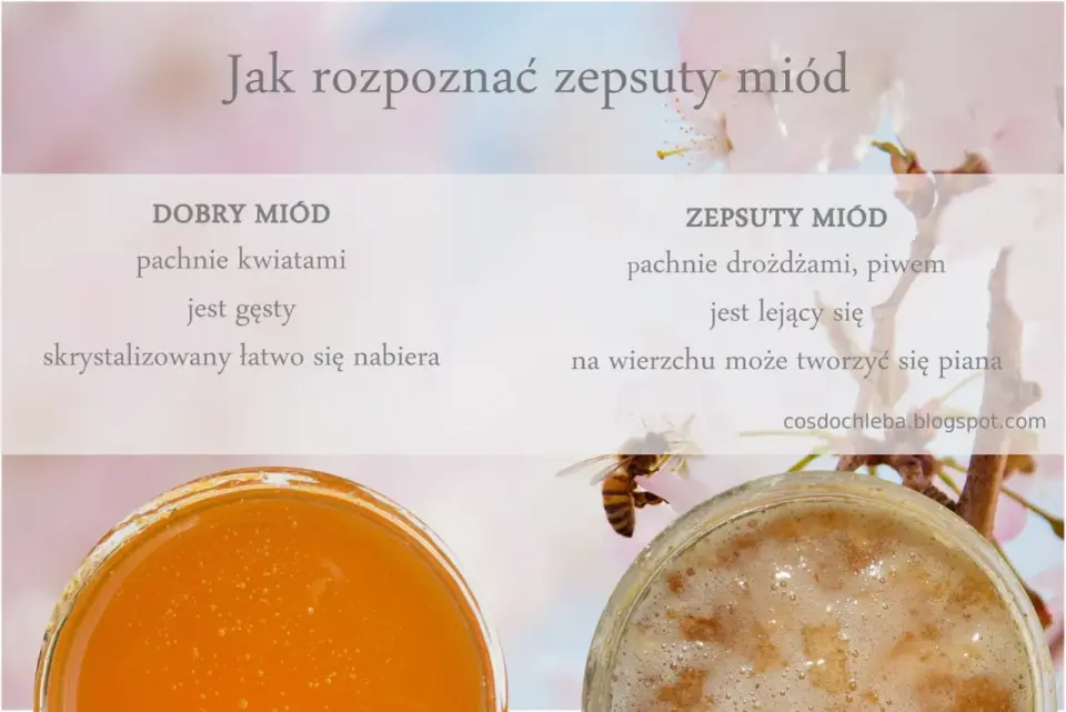 Zepsuty miód czy krystalizacja - Jak rozpoznać słoik do wyrzucenia?